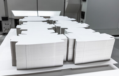 Palette mit abgestapelten Karton Nutzen nach dem Stanzen | © Marbach Group