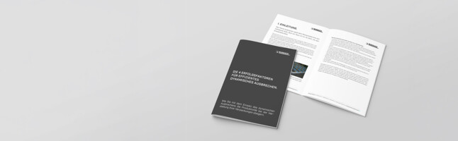 Exclusive whitepaper. The 4 key factors for efficient dynamic stripping.