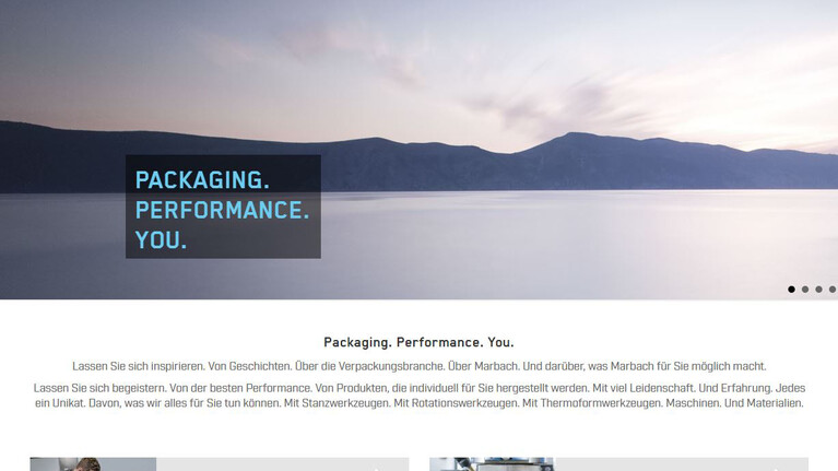 Screenshot Marbach Website