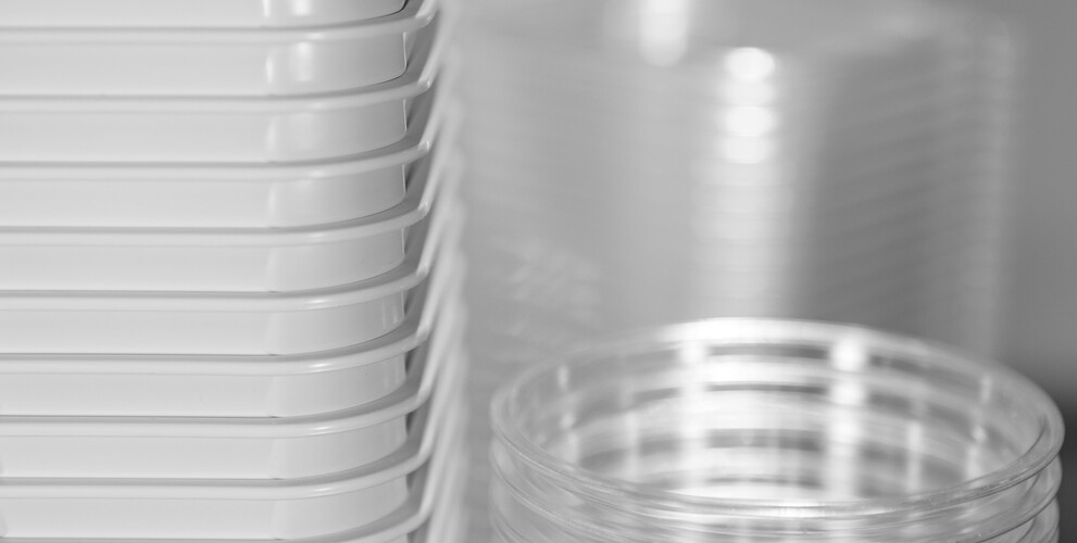 Abmusterung und Musterproduktion auf Marbach's Thermoformmaschinen